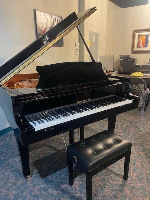 Image - Hallet Davis - Classic Baby Grand (pre-owned)